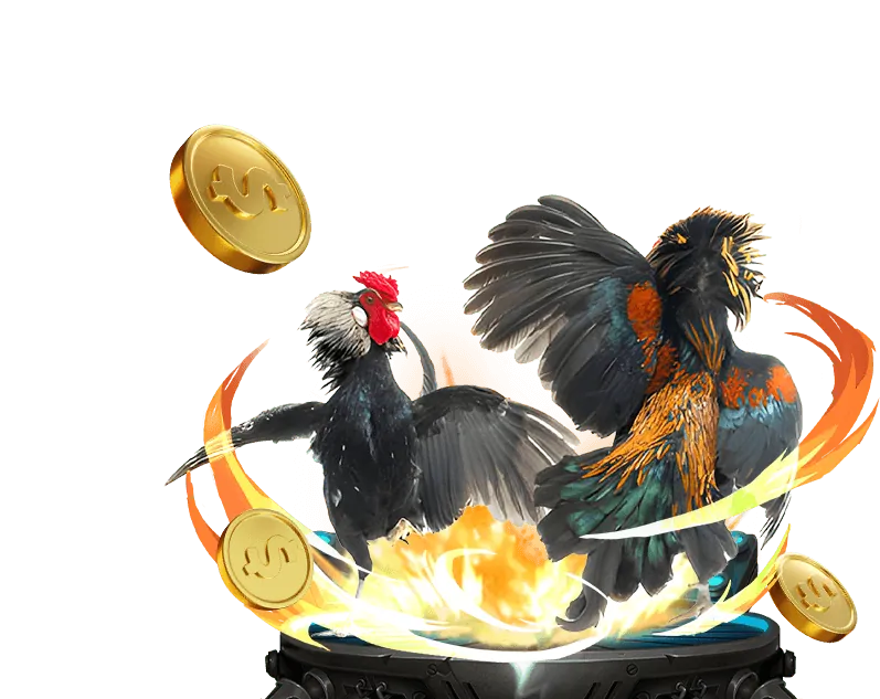 Cập nhật và sự kiện mới nhất của Banca 30